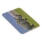 Weiße Rhinozeros und weit entfernte Flamingos, Magnet (Rechte Seite)