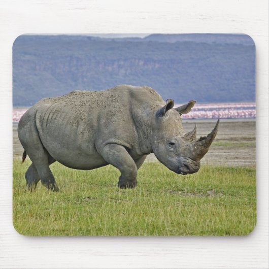 Weiße Rhinozeros und weit entfernte Flamingos, Mousepad (Vorne)