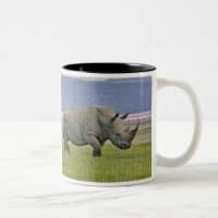 Weiße Rhinozeros und weit entfernte Flamingos,
