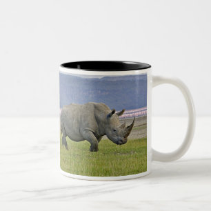 Weiße Rhinozeros und weit entfernte Flamingos, Zweifarbige Tasse