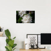 Weiße Rhododendren Poster (Heimbüro)