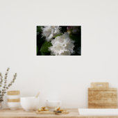 Weiße Rhododendren Poster (Küche)
