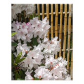 Weiße Rhododendron Blooms und Bambuszaun Blumen Fotodruck (Vorne)