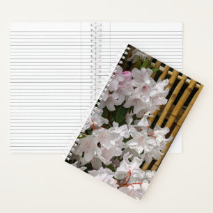 Weiße Rhododendronblüten und Bambuszaun Blumen Notizblock