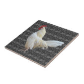 WEISSE ROCKROOSTER FLIESE (Seite)