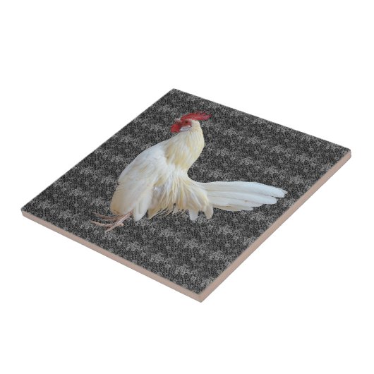 WEISSE ROCKROOSTER FLIESE (Seite)