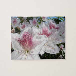 Weiße rosa Azaleen-Blumengarten-Puzzle Feiertage Puzzle