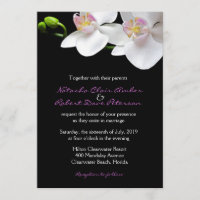 Weiße rosa Orchideen auf Schwarzer Hochzeit/Belieb