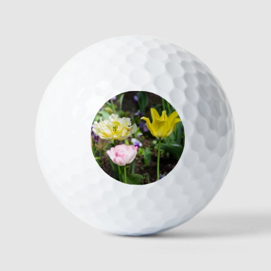 Weiße, rosa und gelbe Tulpen im Garten Golfball (Vorderseite)
