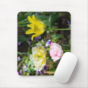 Weiße, rosa und gelbe Tulpen im Garten Mousepad