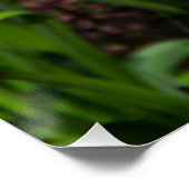 Weiße, rosa und gelbe Tulpen im Garten Poster (Ecke)