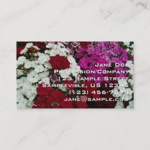 Weiße, rosa und rote Dianthus-Blumen Visitenkarte