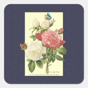 Weiße rosa Vintage-Botanik-Rosen Aufkleber