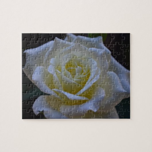 Weiße Rose an der Dämmerung Puzzle (Horizontal)