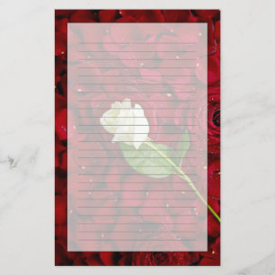 Weiße Rose auf roten Blumenblättern Briefpapier