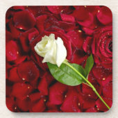 Weiße Rose auf roten Blumenblättern Getränkeuntersetzer (Vorderseite)