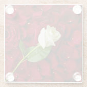 Weiße Rose auf roten Blumenblättern Glasuntersetzer (Rückseite)