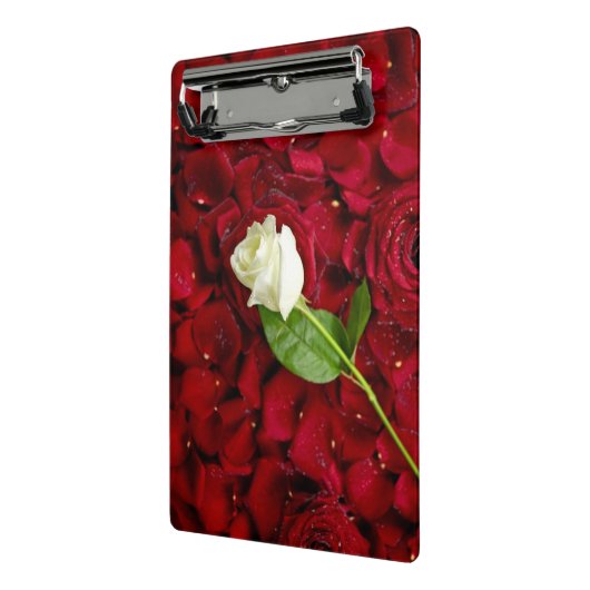 Weiße Rose auf roten Blumenblättern Mini Klemmbrett (Gewinkelt2)