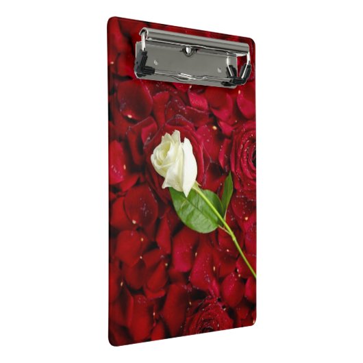 Weiße Rose auf roten Blumenblättern Mini Klemmbrett (Schrägansicht)