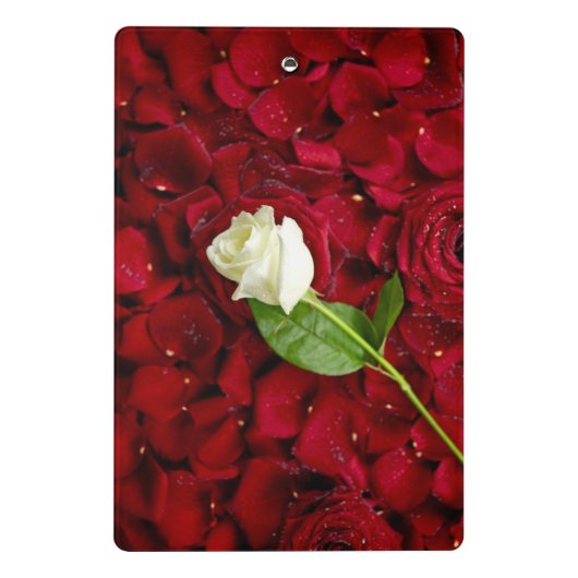 Weiße Rose auf roten Blumenblättern Mini Klemmbrett (Rückseite)