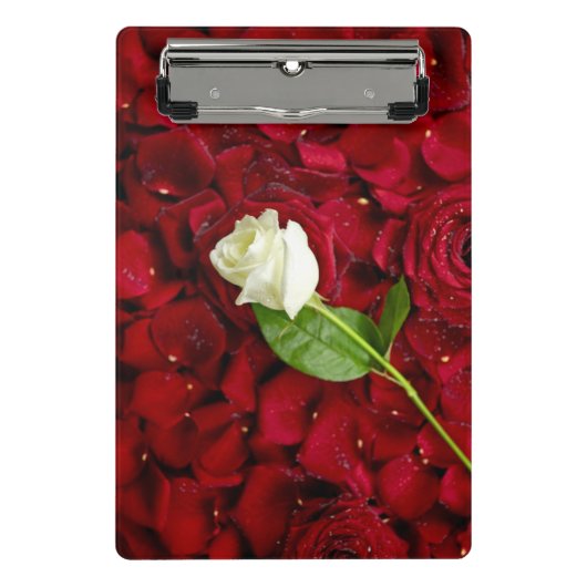 Weiße Rose auf roten Blumenblättern Mini Klemmbrett (Vorderseite)