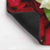 Weiße Rose auf roten Blumenblättern Mousepad (Ecke)