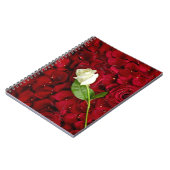 Weiße Rose auf roten Blumenblättern Notizblock (Linke Seite)