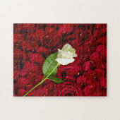 Weiße Rose auf roten Blumenblättern Puzzle (Horizontal)