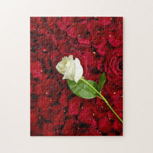 Weiße Rose auf roten Blumenblättern Puzzle