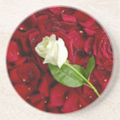 Weiße Rose auf roten Blumenblättern Sandstein Untersetzer (Vorne)