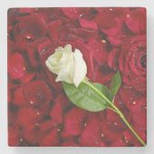 Weiße Rose auf roten Blumenblättern Steinuntersetzer (Vorderseite)