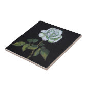 Weiße Rose auf schwarzem Hintergrund: Fliese (Seite)