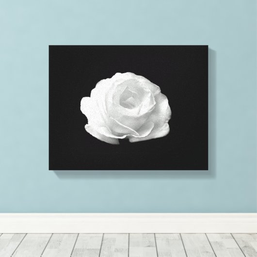 Weiße Rose auf schwarzem Hintergrund verstärkte Le Leinwanddruck (Insitu (Holzboden))