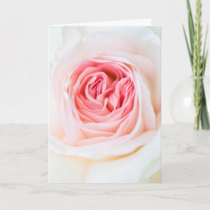 "WEISSE ROSE BLUME" BLUMENKARTE KARTE