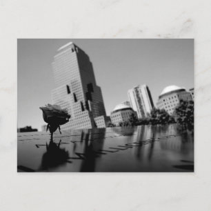 Weiße Rose der Erinnerung Postkarte