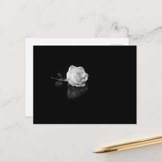 Weiße Rose, die in schwarzem Wasser schwimmt Postkarte