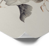 Weiße Rose Elegantes Blumenbouquet Poster (Ecke)