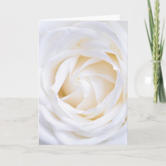 "WEISSE ROSE" FLORAL GREETCARD KARTE (Vorderseite)