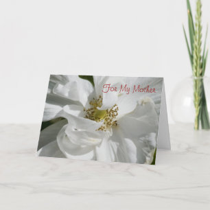 Weiße Rose für Mama-Karte Karte