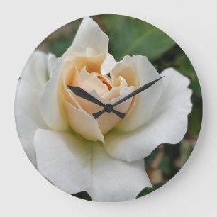 Weiße Rose Große Wanduhr
