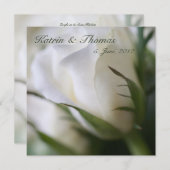 Weiße Rose • Hochzeits-Einladung Einladung (Vorne/Hinten)