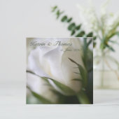 Weiße Rose • Hochzeits-Einladung Einladung (Stehend Vorderseite)