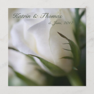 Weiße Rose • Hochzeits-Einladung Einladung