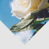 Weiße Rose - Leben feiern Seidenpapier (Ausschnitt)