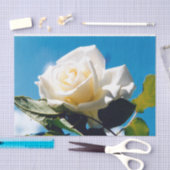 Weiße Rose - Leben feiern Seidenpapier (Handwerk)