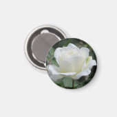 Weiße Rose Magnet (Vorderseite/Rückseite)