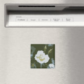 Weiße Rose Magnet (In Situ (Geschirrspüler))