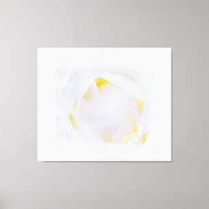 *~* Weiße Rose Makro Blumen Abstract Grunge AR8 Leinwanddruck
