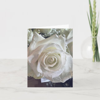 Weiße Rose Notizkarte