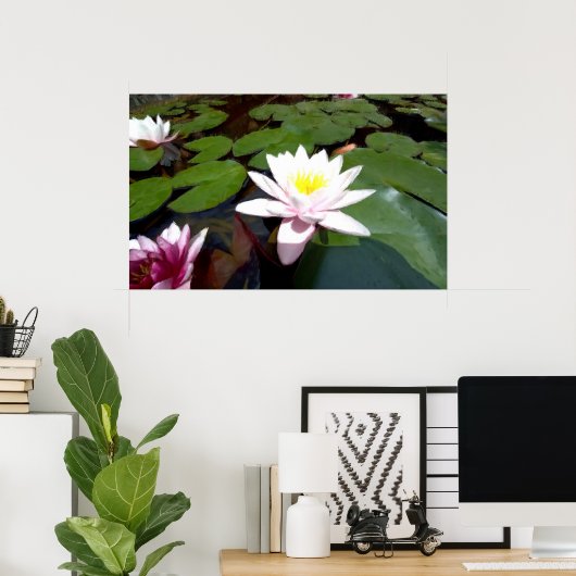 Weiße Rose Poster (Heimbüro)